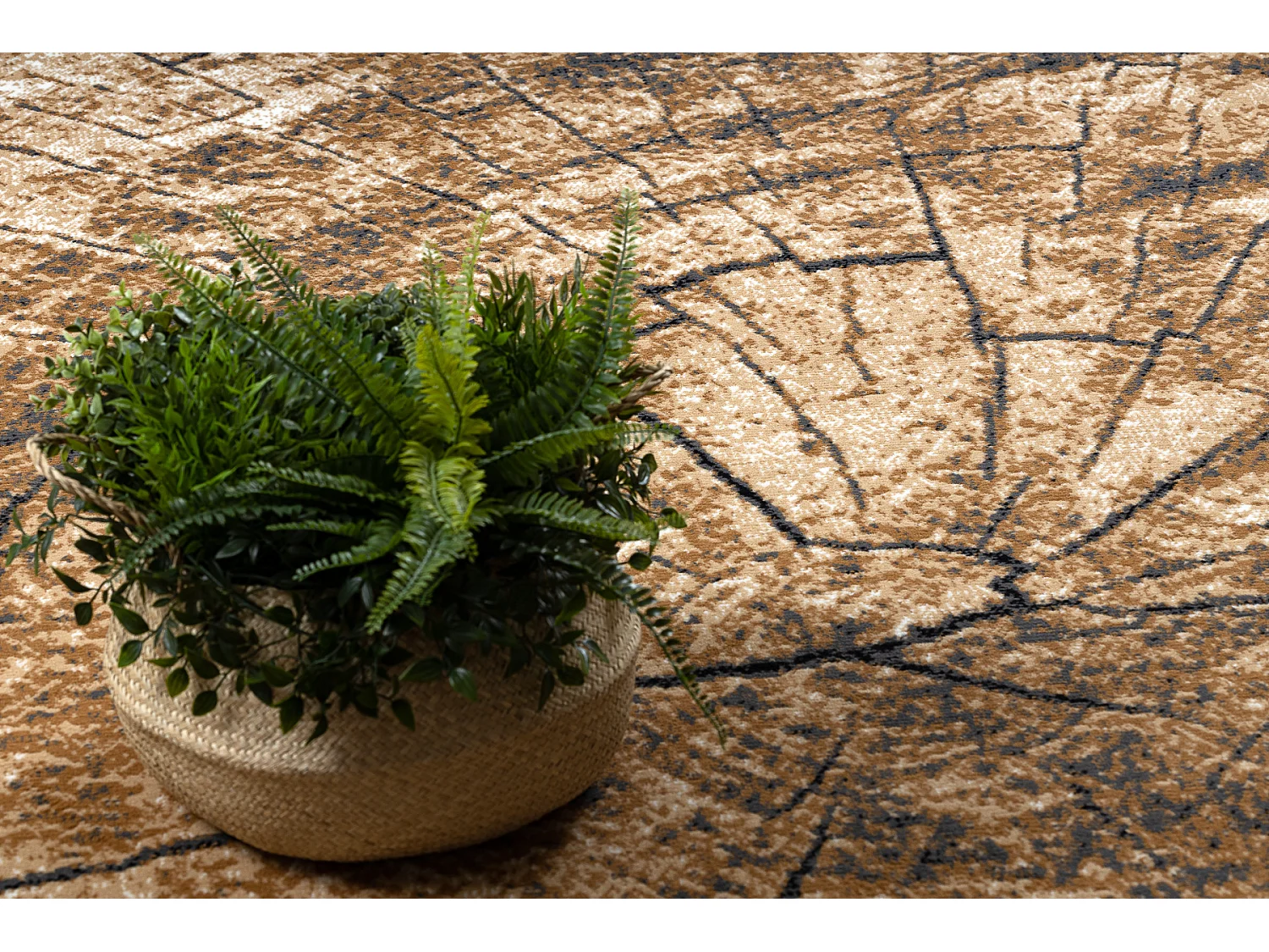 BCF Rug Morad PIEŃ Arbre Bois - gris / beige / vieil or 140x200 cm