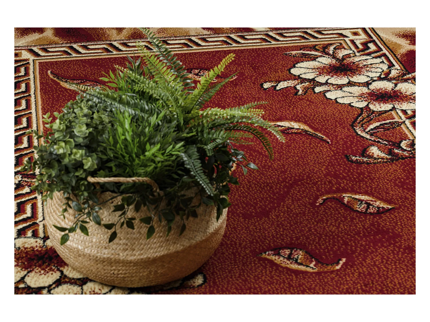 BCF Rug Morad TRIO fleurs, feuilles classique - bordeaux 140x200 cm