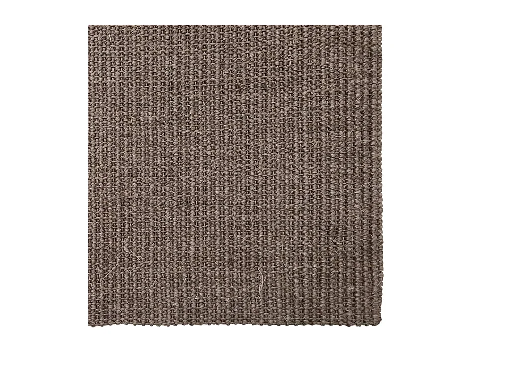 Natuurlijk Sisal vloerkleed 66x350 cm Bruin