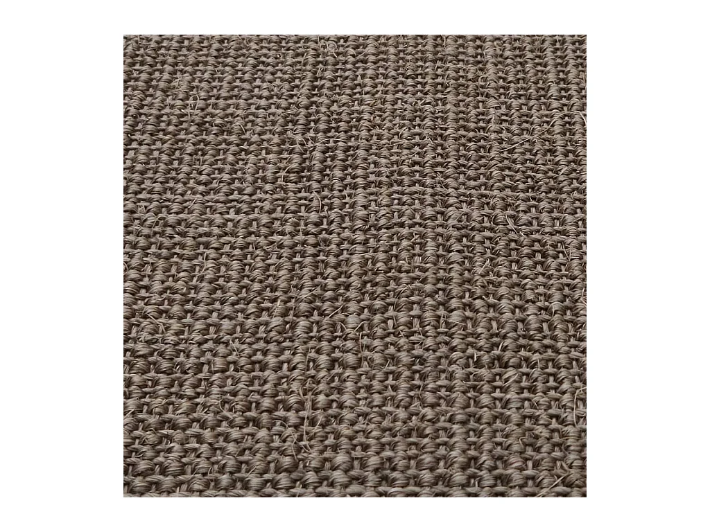 Natuurlijk Sisal vloerkleed 66x350 cm Bruin
