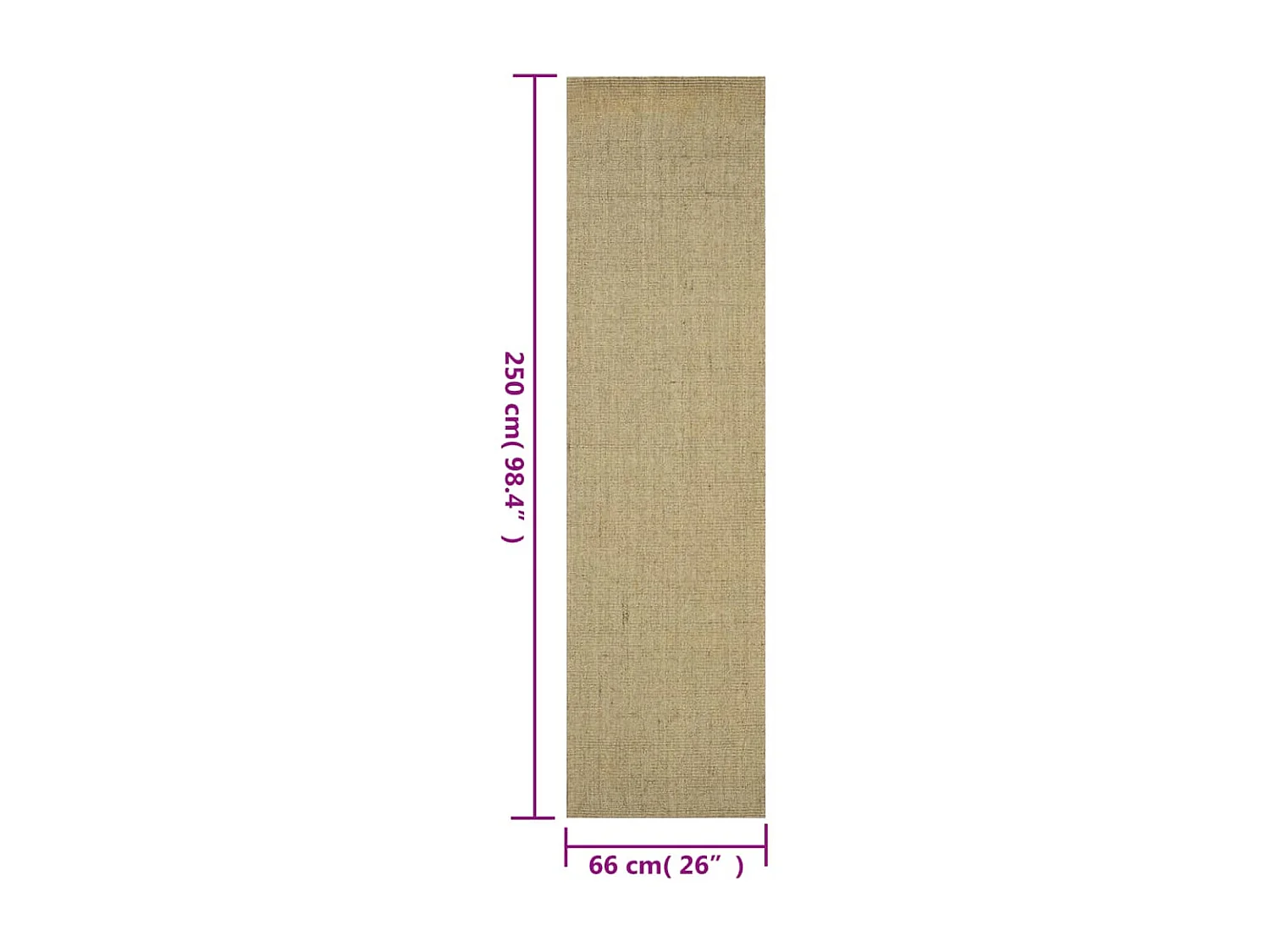 Tapis Sisal naturel 66x250 cm Taupe