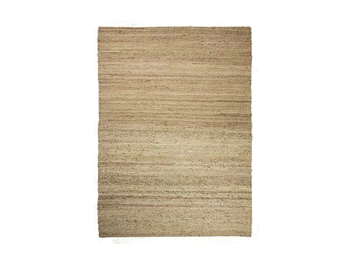 Tapis Jarod naturel 200 x 300 cm Vivaraise