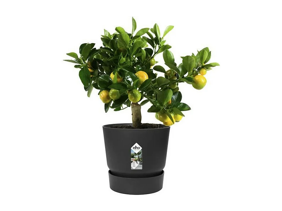 ELHO Pot de fleurs rond Greenville 25 - Exterieur - O 24,48 x H 23,31 cm - Vivre noir