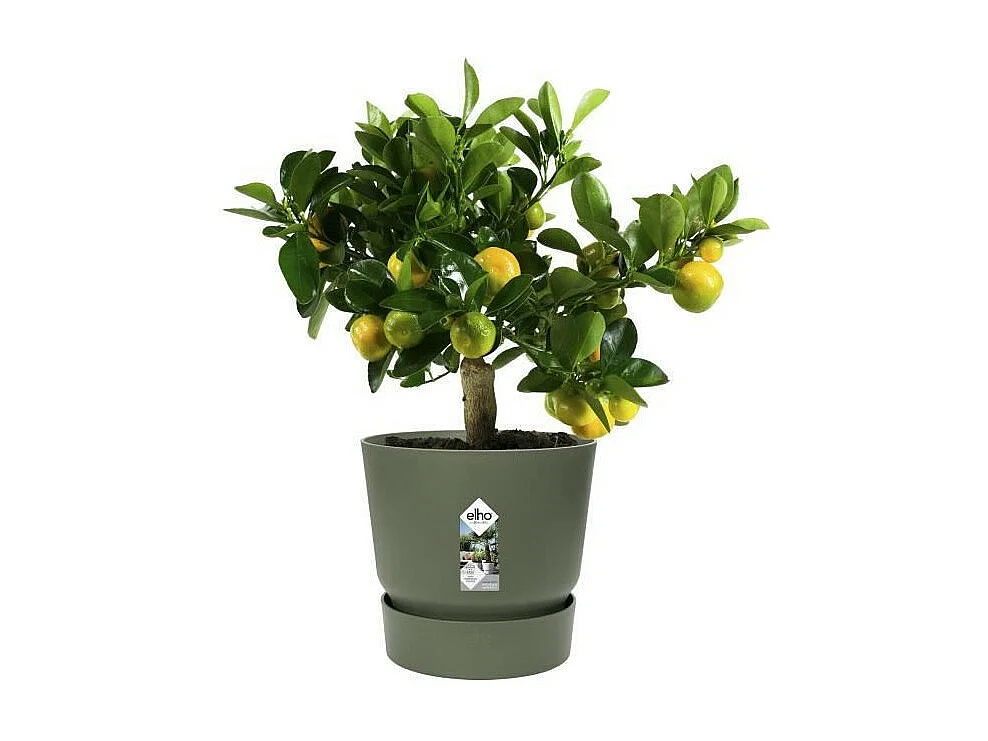 ELHO Pot de fleurs rond Greenville 25 - Exterieur - O 24,48 x H 23,31 cm - Vert feuille