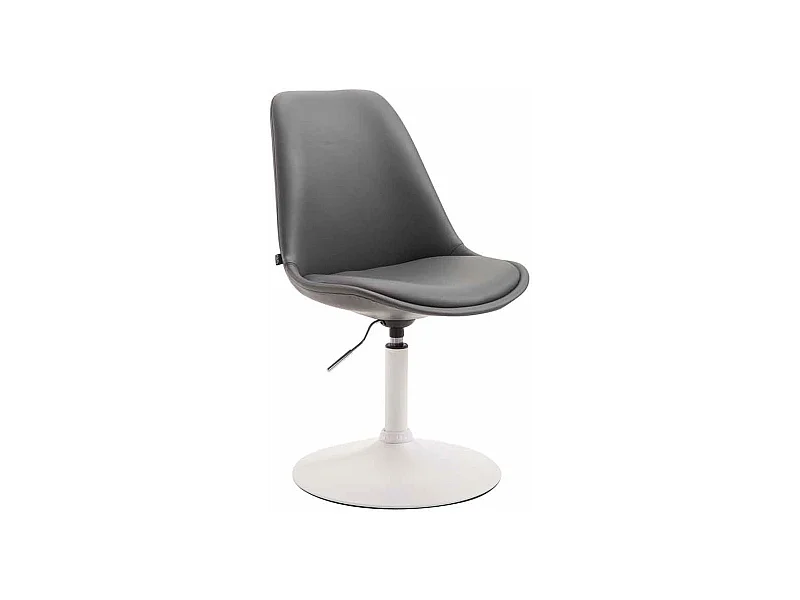 Esszimmerstuhl - Kunstleder & weiß - grau - Maverick