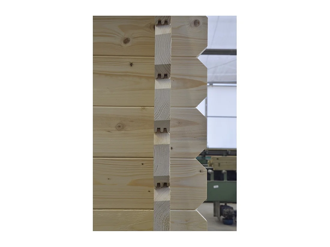 Abri de jardin en bois - 19.2m2 - 4.8x4m - Ep. 40mm - Couleur: naturel - DOM370 - ALTANKA