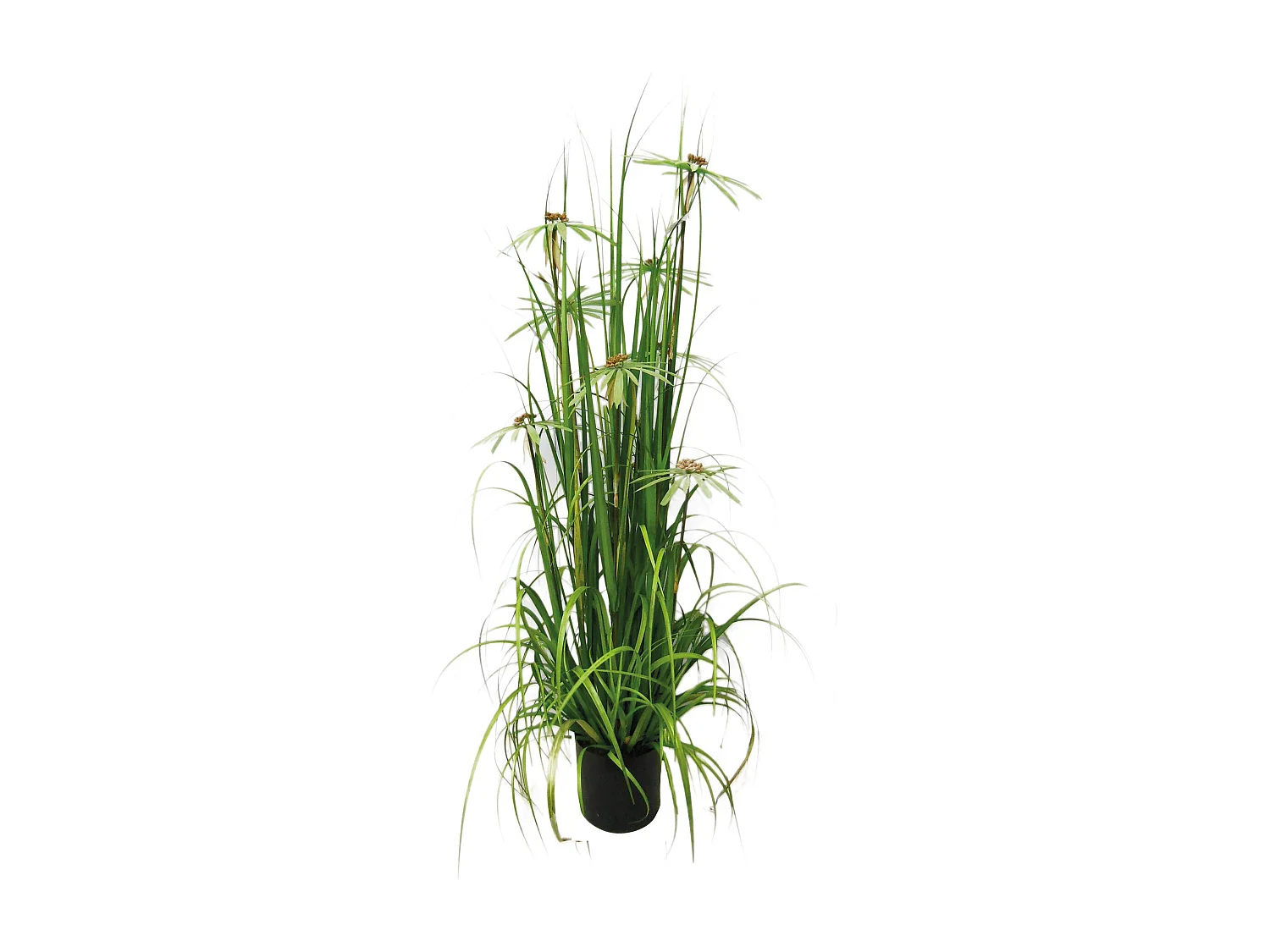 Now's Home - Plante Graminee A Fleurs Artificielle 20x17x150 Cm Aquaplanter