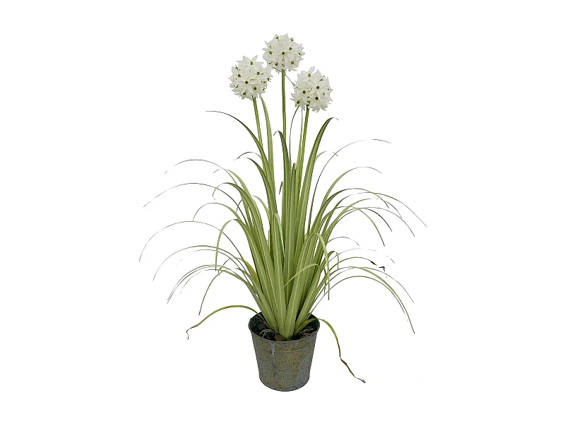 Now's Home - Agapanthe Artificielle A Fleurs Blanche Ds Pot Pot Zinc Ht99cm Agapanth
