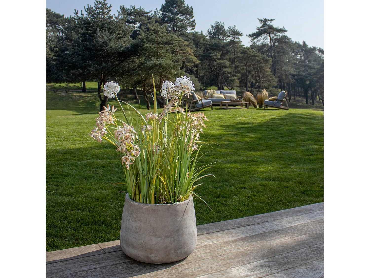 Now's Home - Agapanthe Artificielle A Fleurs Blanche Ds Pot Pot Zinc Ht99cm Agapanth