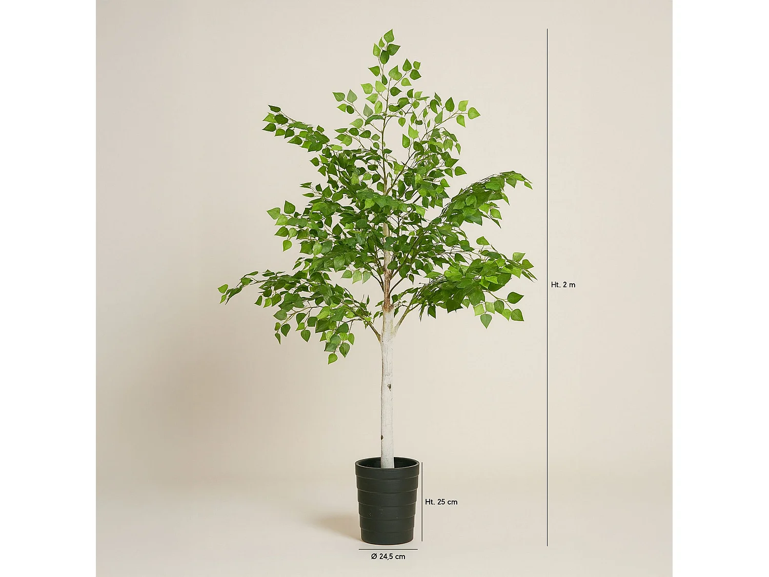 Now's Home - Bouleau Artificiel Avec Pot Noir Pour Interieur Fray