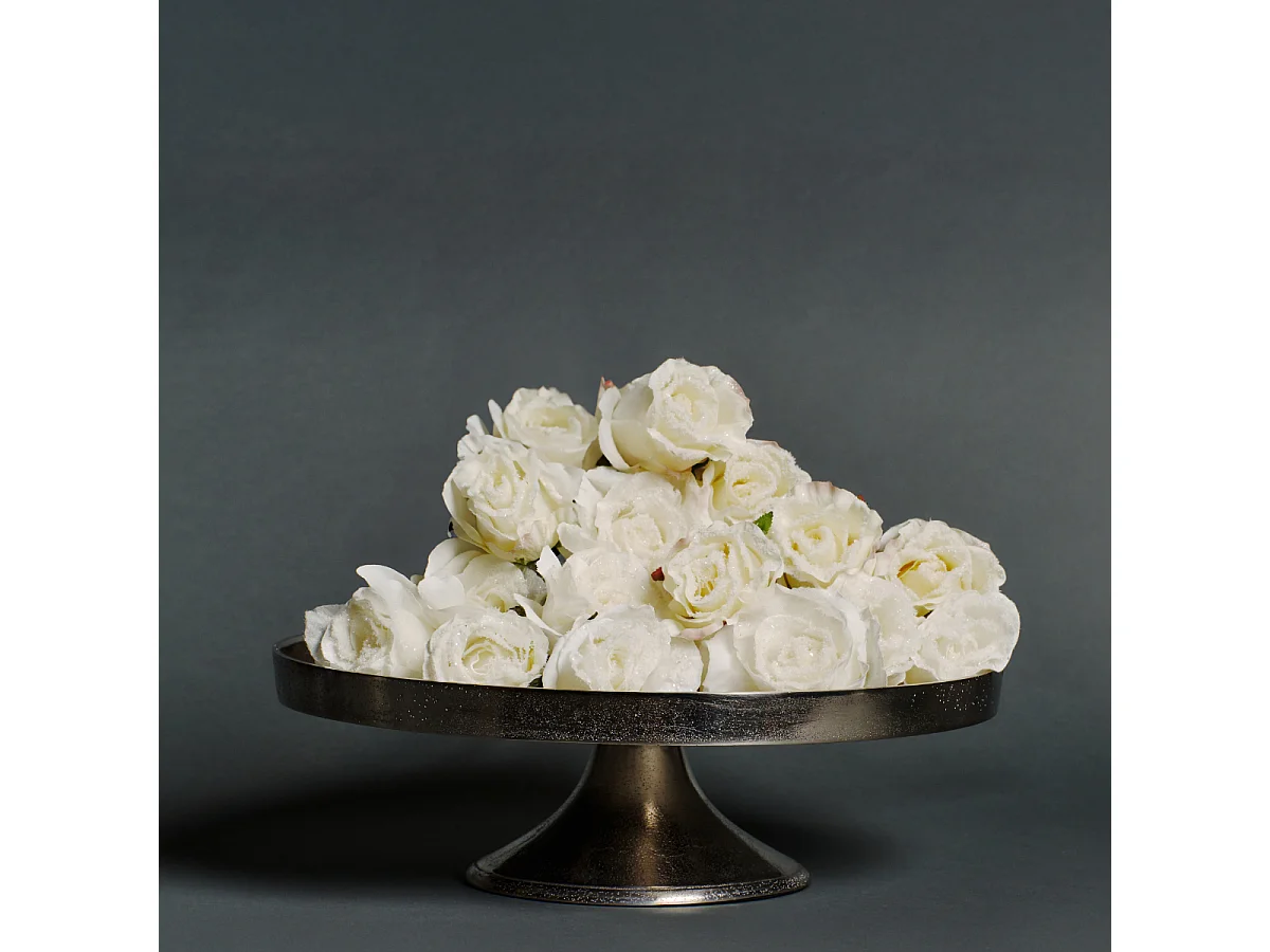 Plateau décoratif Wonder Grand Format - Argenté