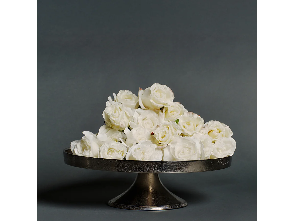 Plateau décoratif Wonder Grand Format - Argenté