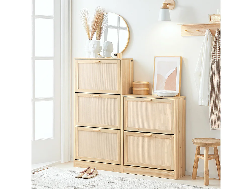 SoBuy Schoenenkast met 2 kleppen, schoenenkist, schoenenrek, schoenenopbergmeubel met 2 deuren, gangmeubel 60 x 24 x 80 cm, FSR160-N