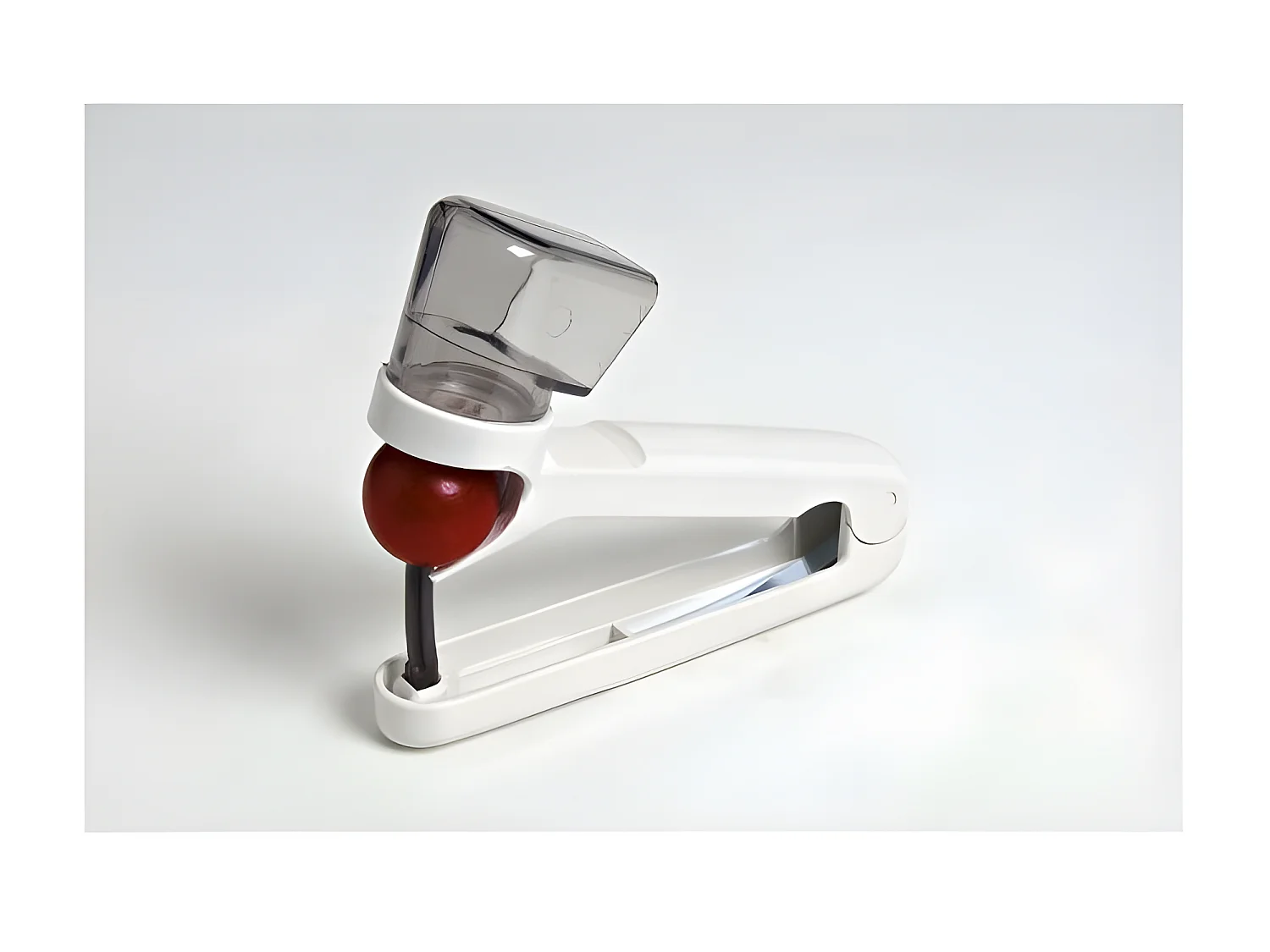 Manueller Kirschentkerner mit transparentem Behälter Leifheit - Kleines Modell