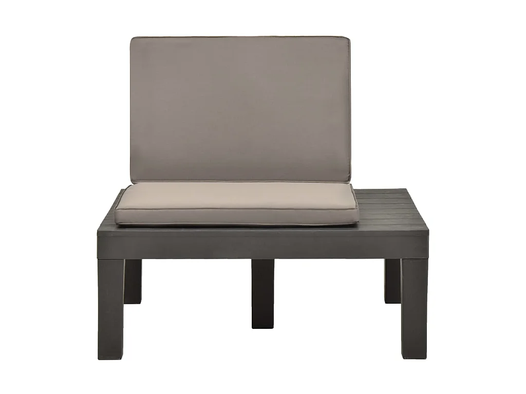 Chaises de salon de jardin et coussins 2pcs Plastique Anthracite SEF48273