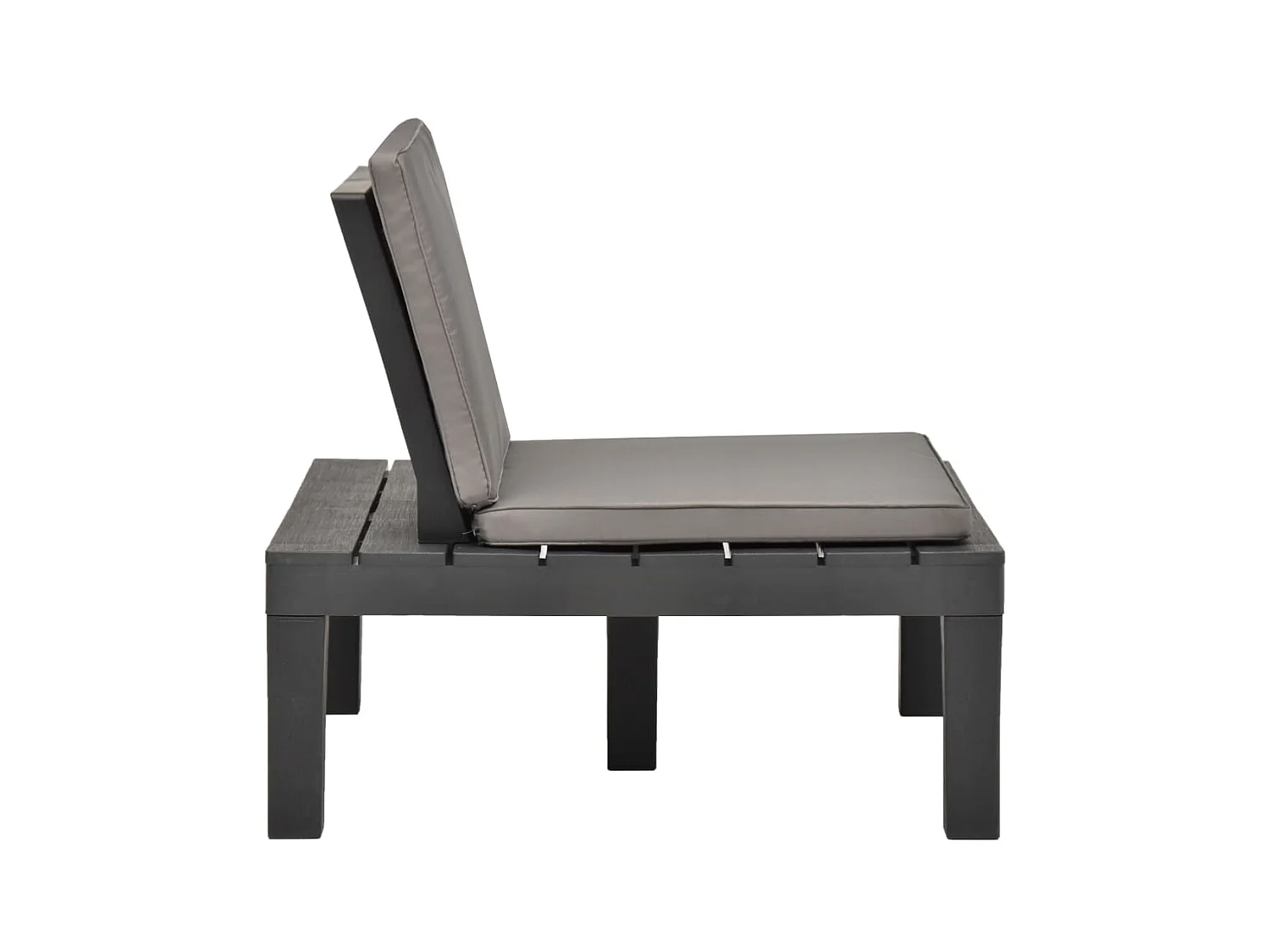 Chaises de salon de jardin et coussins 2pcs Plastique Anthracite SEF48273