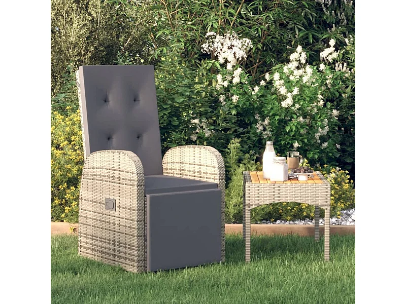 Chaise inclinable de jardin et coussin Résine tressée Gris SEF15591
