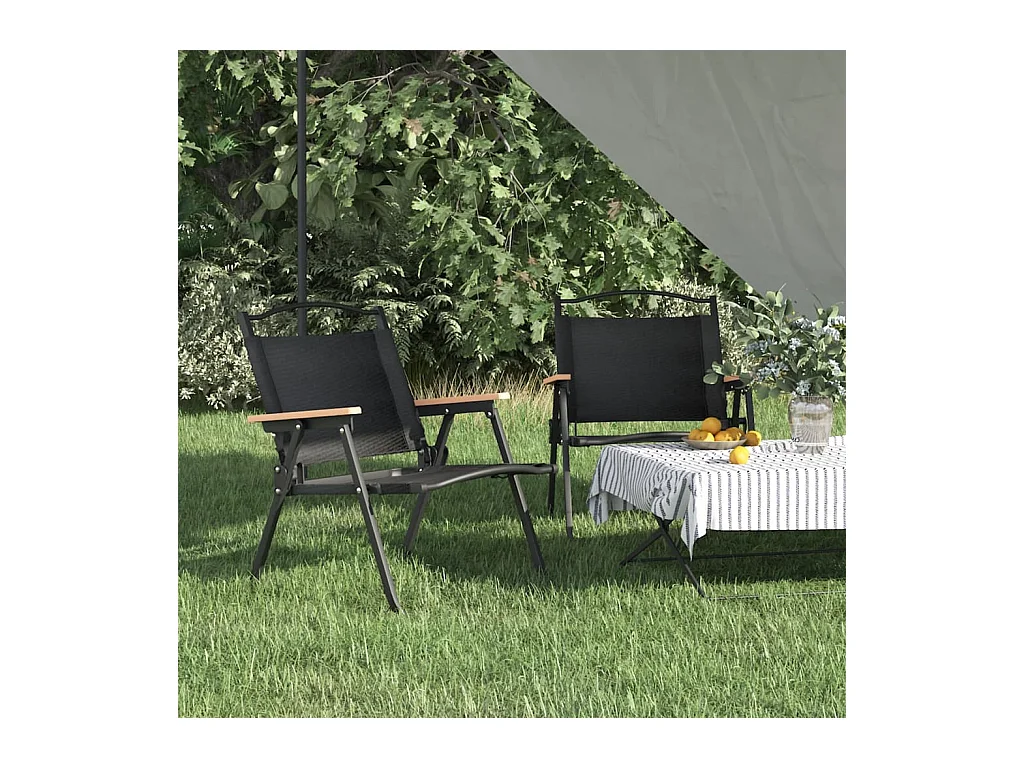 Chaises de camping 2 pcs Noir 54x43x59 cm Tissu Oxford SEF96188