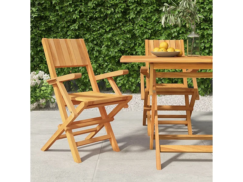 Chaises de jardin pliantes 2 pcs 55x61x90 cm bois massif teck SEF33243