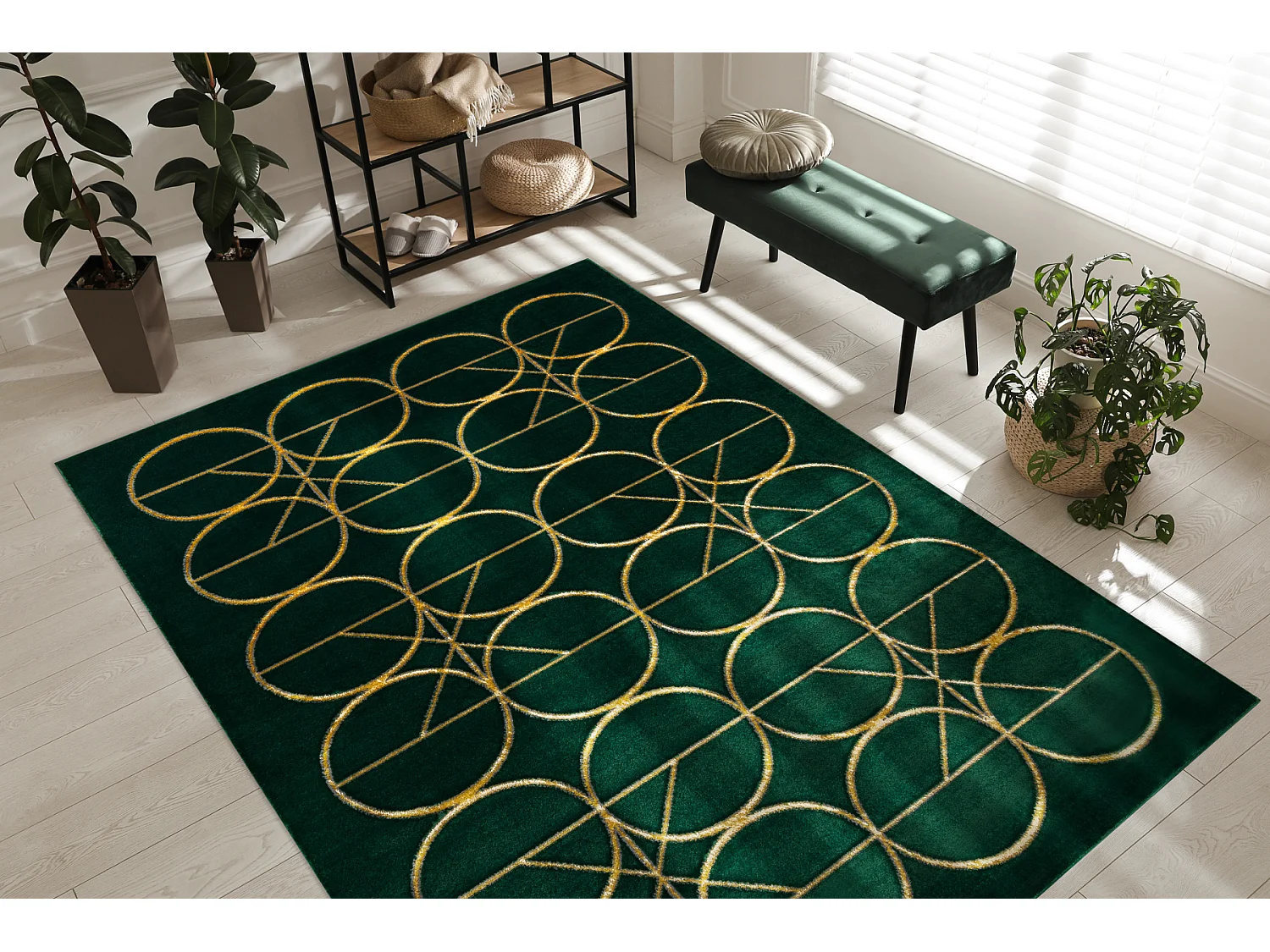 Tapis EMERALD exclusif 1010 glamour, élégant cercles bouteille verte 180x270 cm
