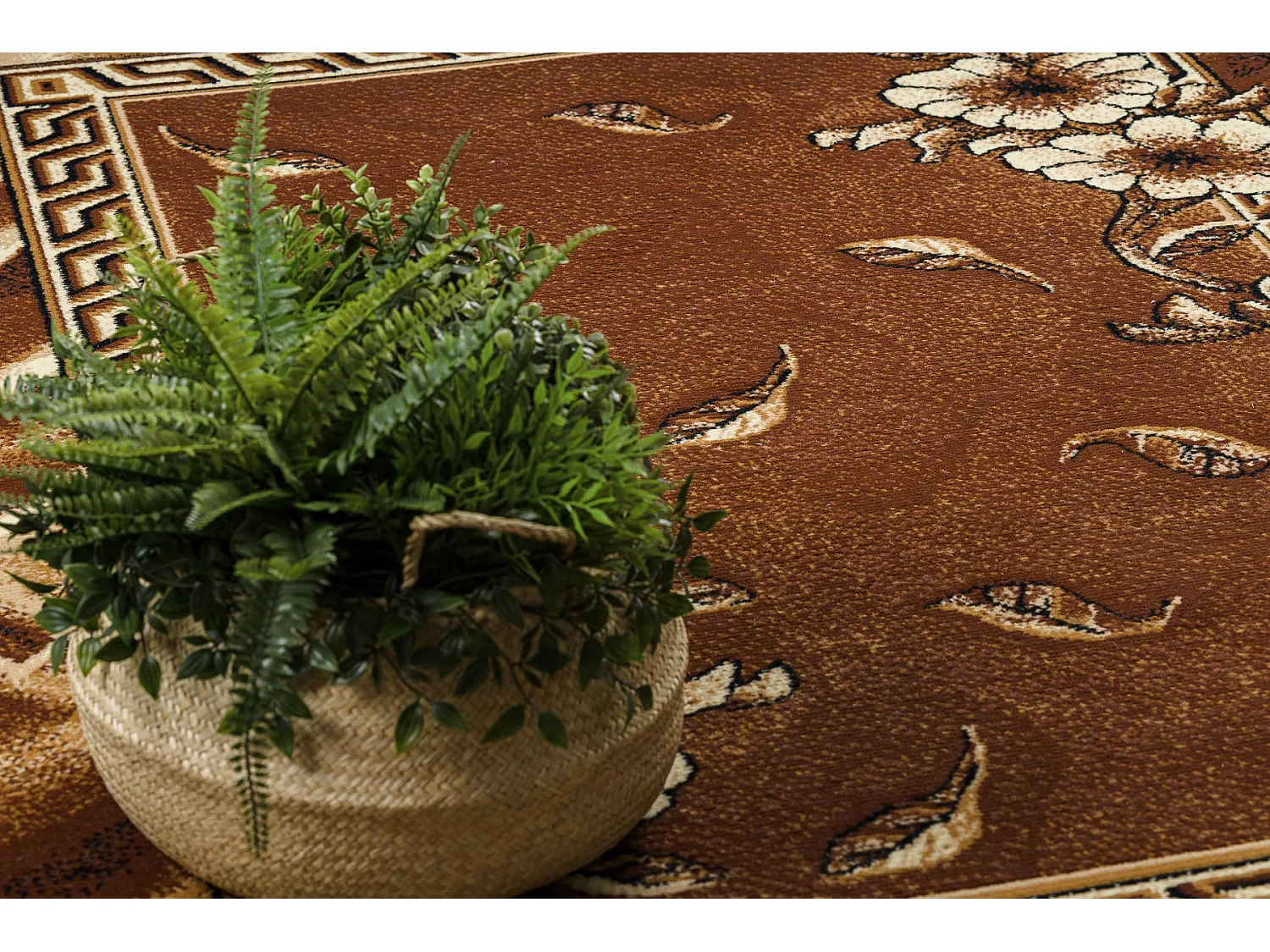 BCF Rug Morad TRIO fleurs, feuilles classique - marron 160x220 cm