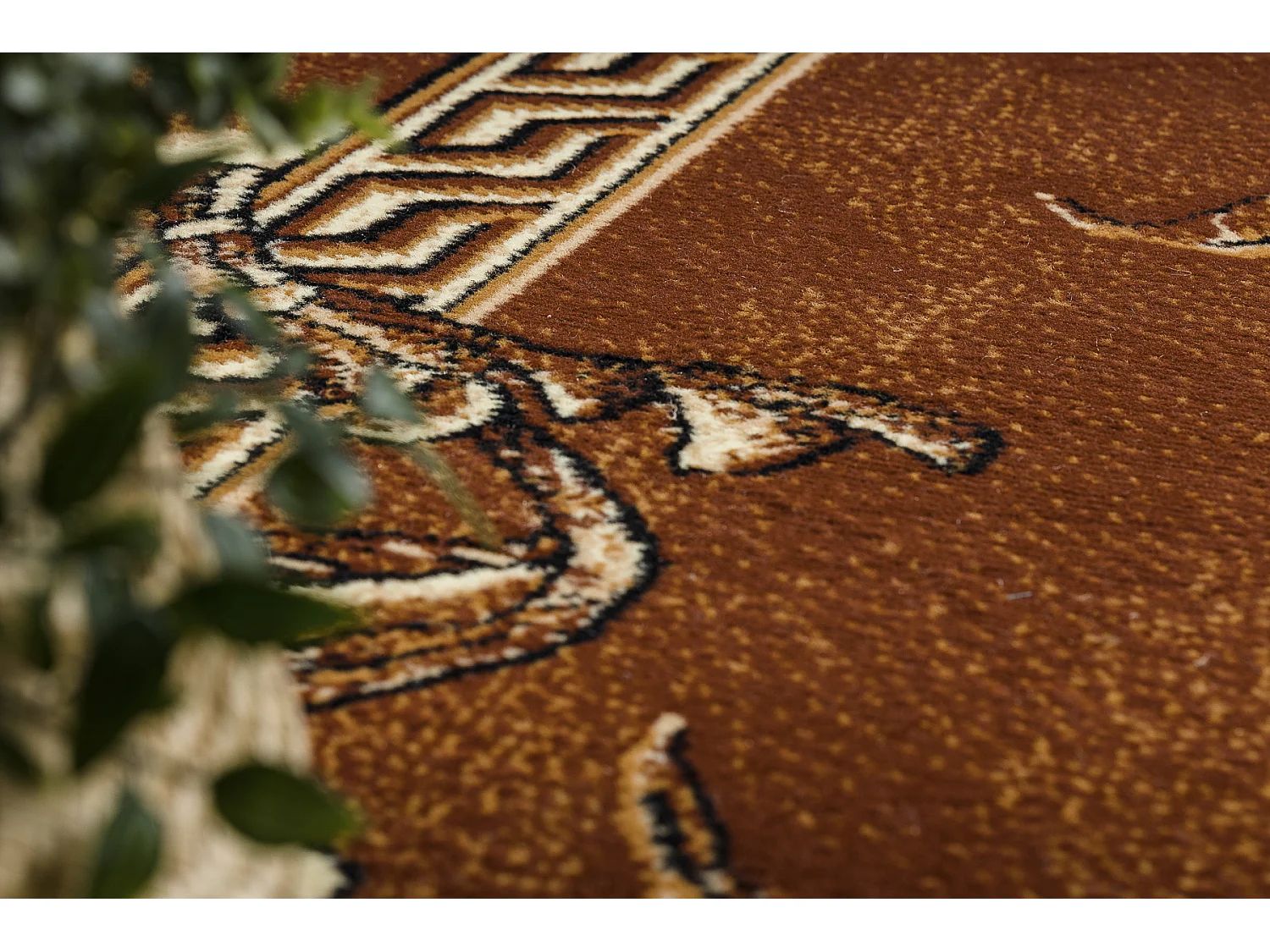 BCF Rug Morad TRIO fleurs, feuilles classique - marron 160x220 cm