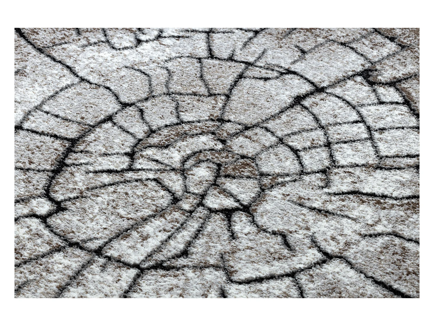 Tapis moderne COZY 8875 Wood, tronc d'arbre - Structural deux niveaux  160x220 cm