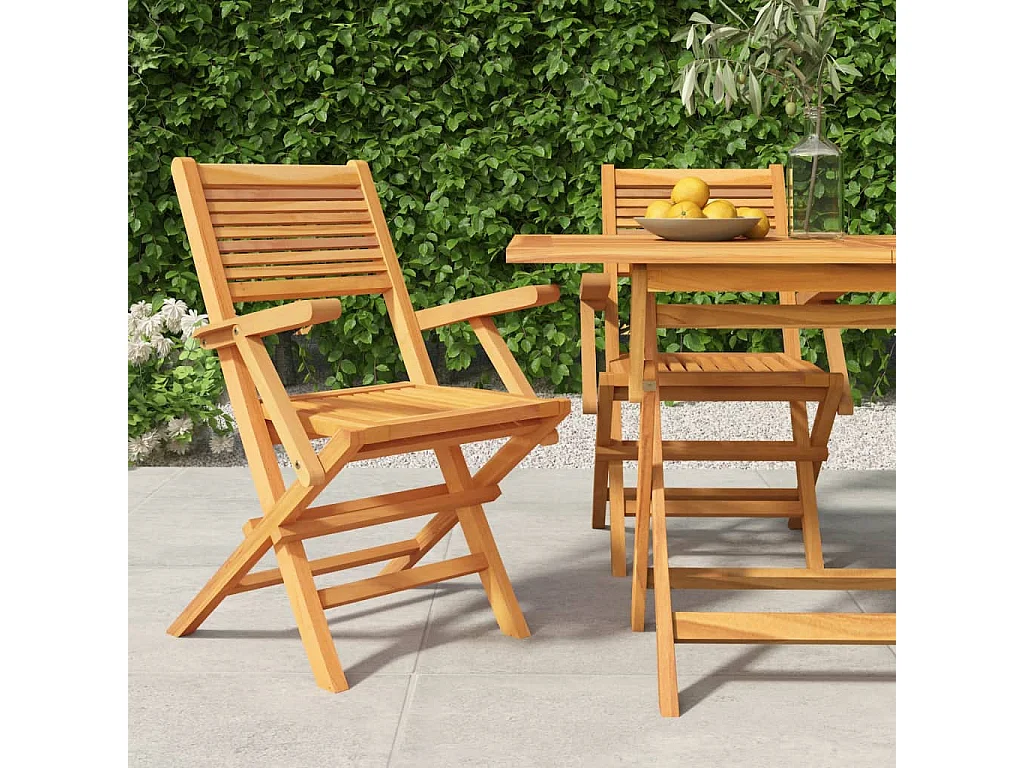 Sillas de jardín plegables 2 uds madera maciza teca 55x62x90 cm ES76893