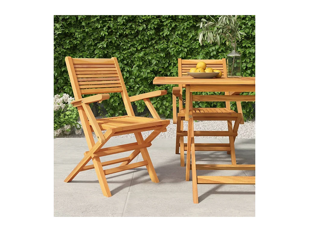 Chaises de jardin pliantes 2 pcs 55x62x90 cm bois massif teck SEF41785