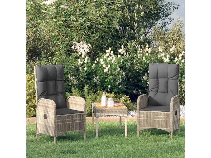 Chaises d'extérieur 2 pcs Résine tressée Gris SEF59252