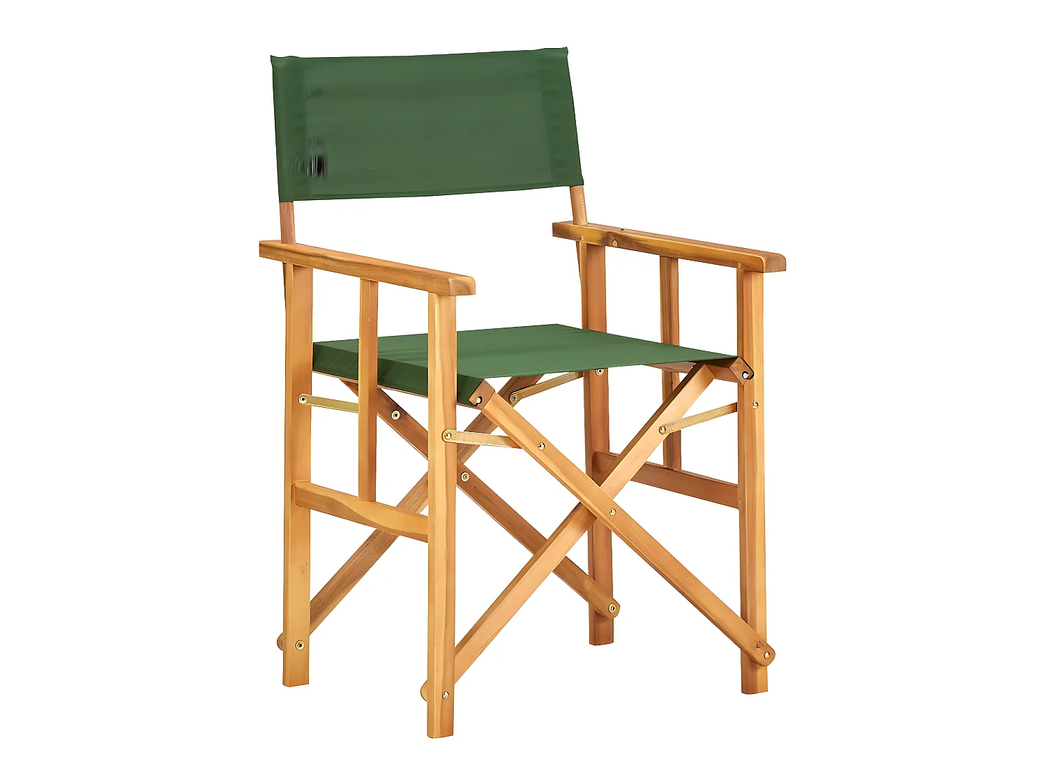 Chaise de metteur en scène Bois massif d'acacia Vert SEF11653
