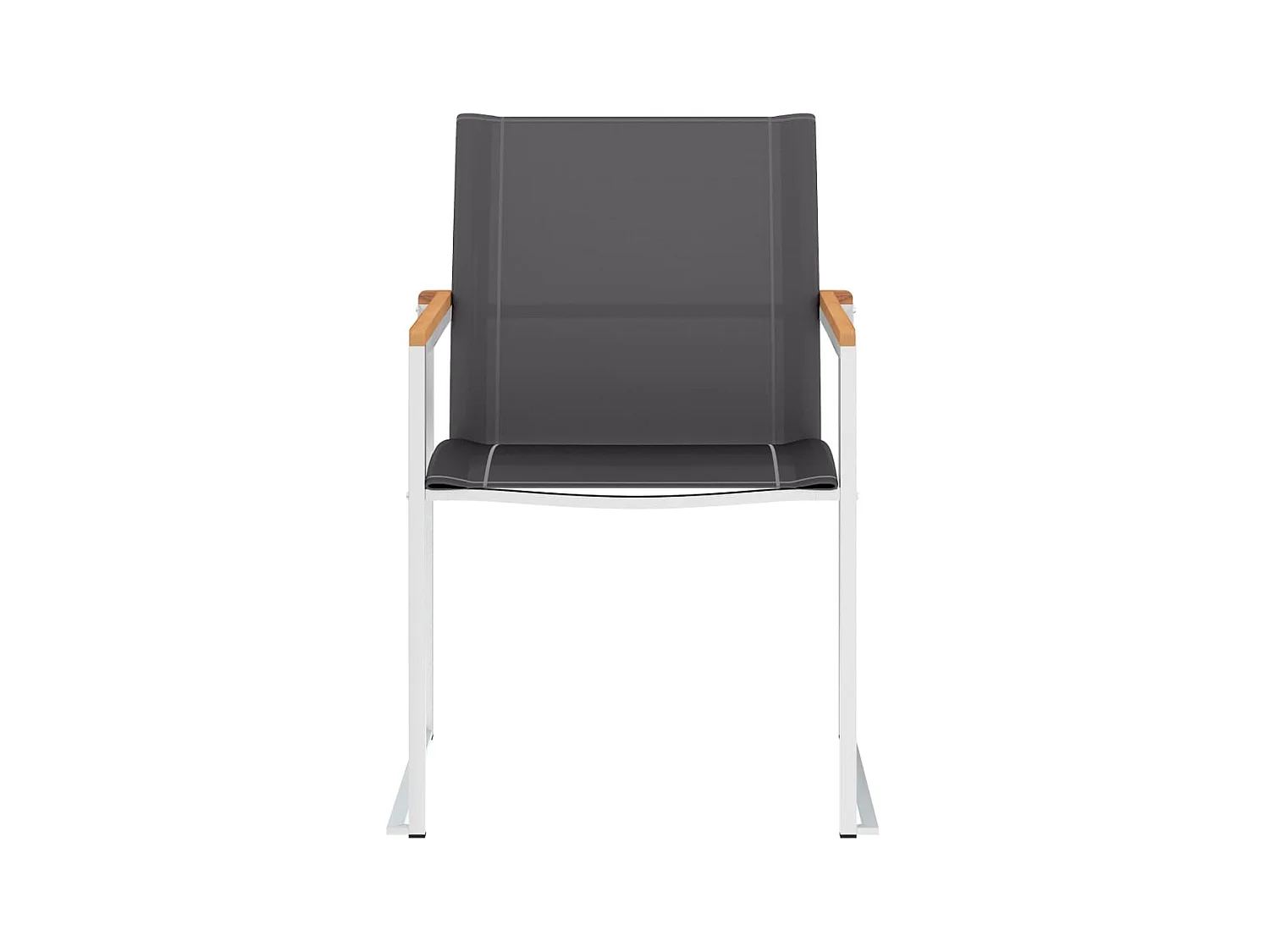 Chaises de jardin 2 pcs Textilène et acier inoxydable Gris SEF17351