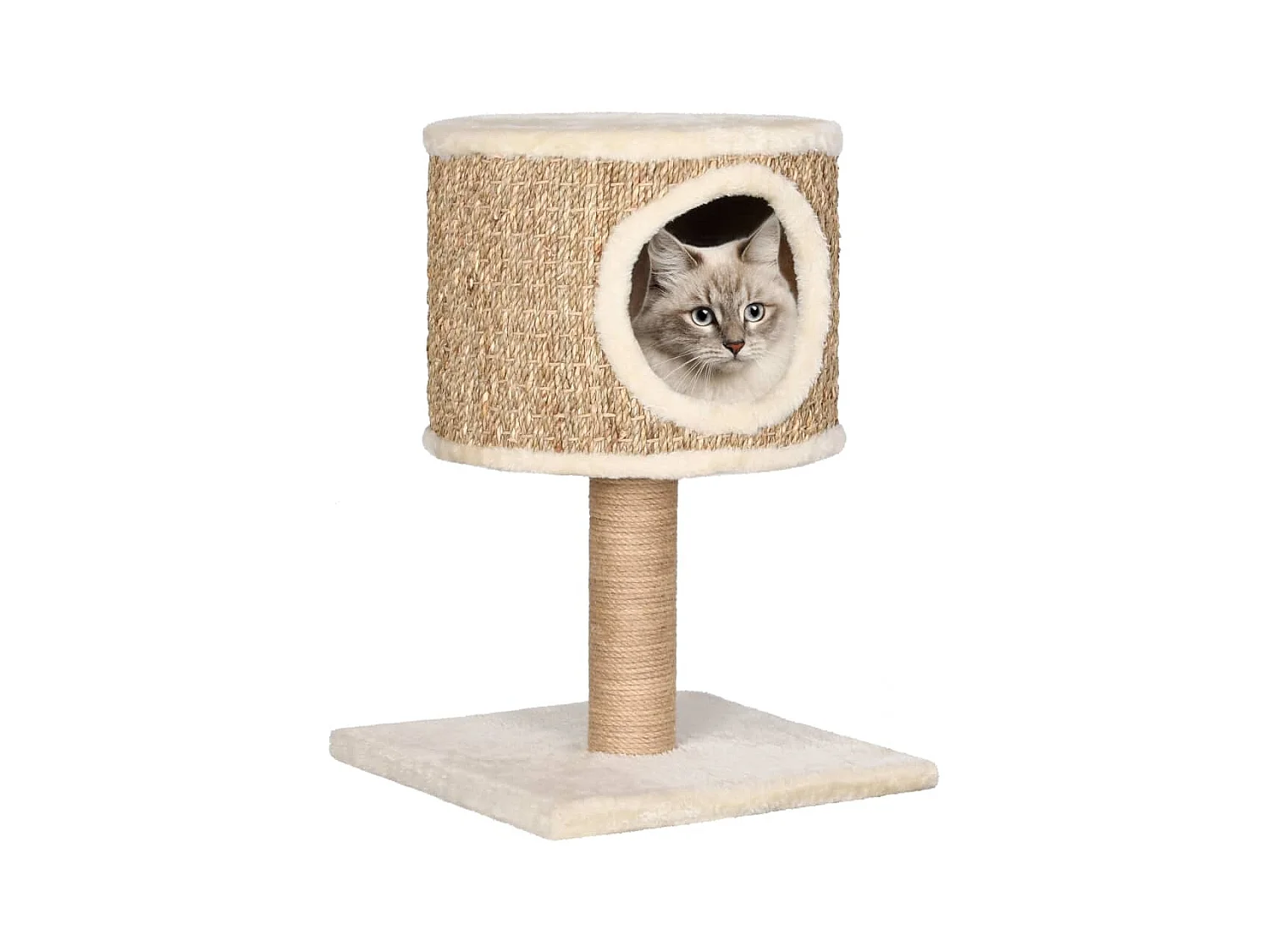 Arbre à chat avec appartement et griffoir 52 cm Herbiers marins OFR32624 BonneVie Meuble