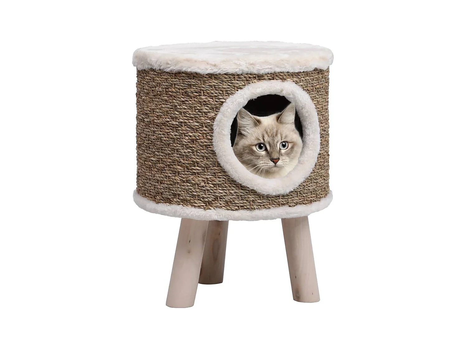 Arbre à chat avec pieds en bois 41 cm Herbiers marins OFR50669 BonneVie Meuble