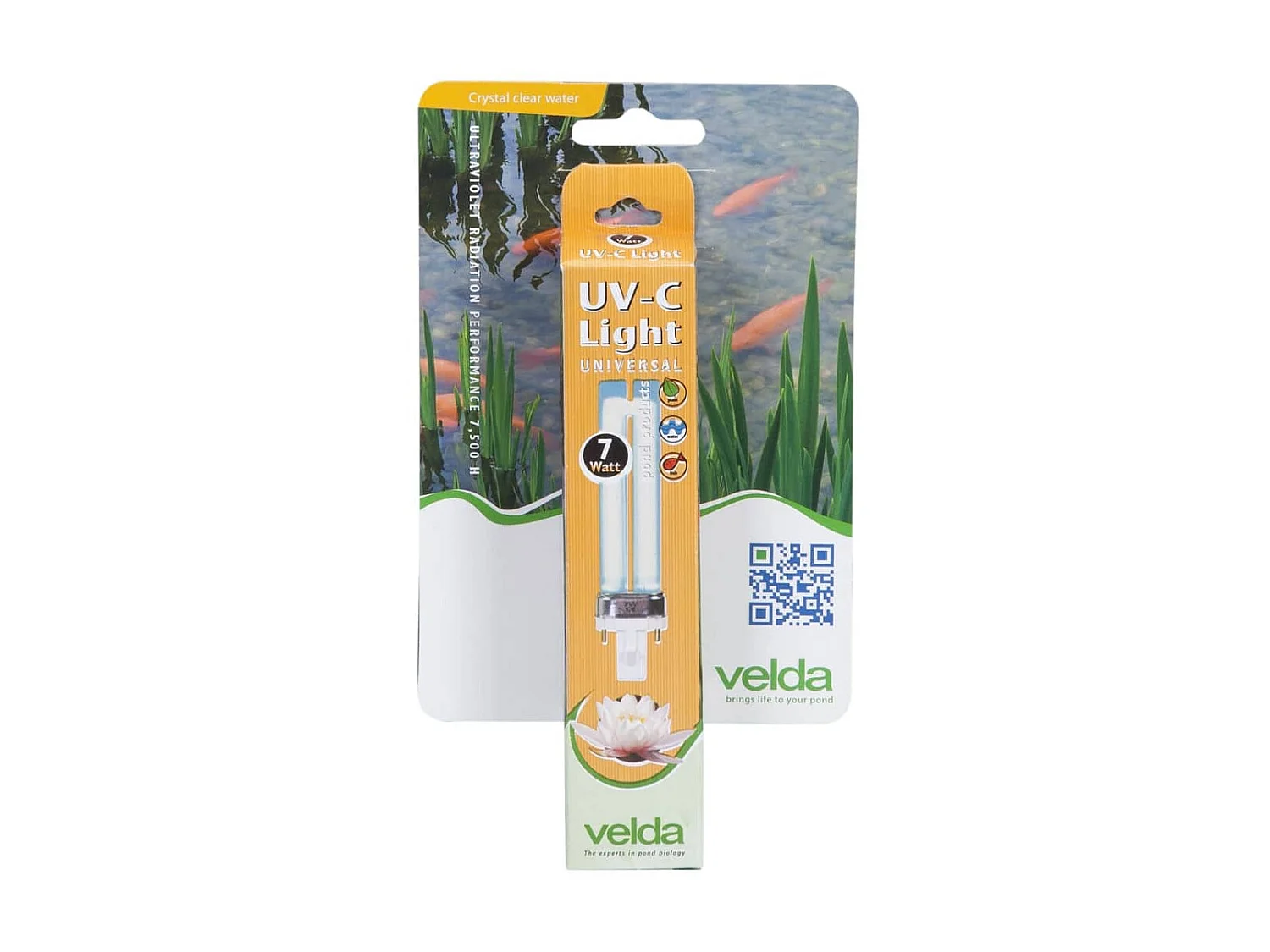 Tête de lit avec oreilles Gris foncé 183x16x118/128 cm Velours POI54247 BonneVie Meuble