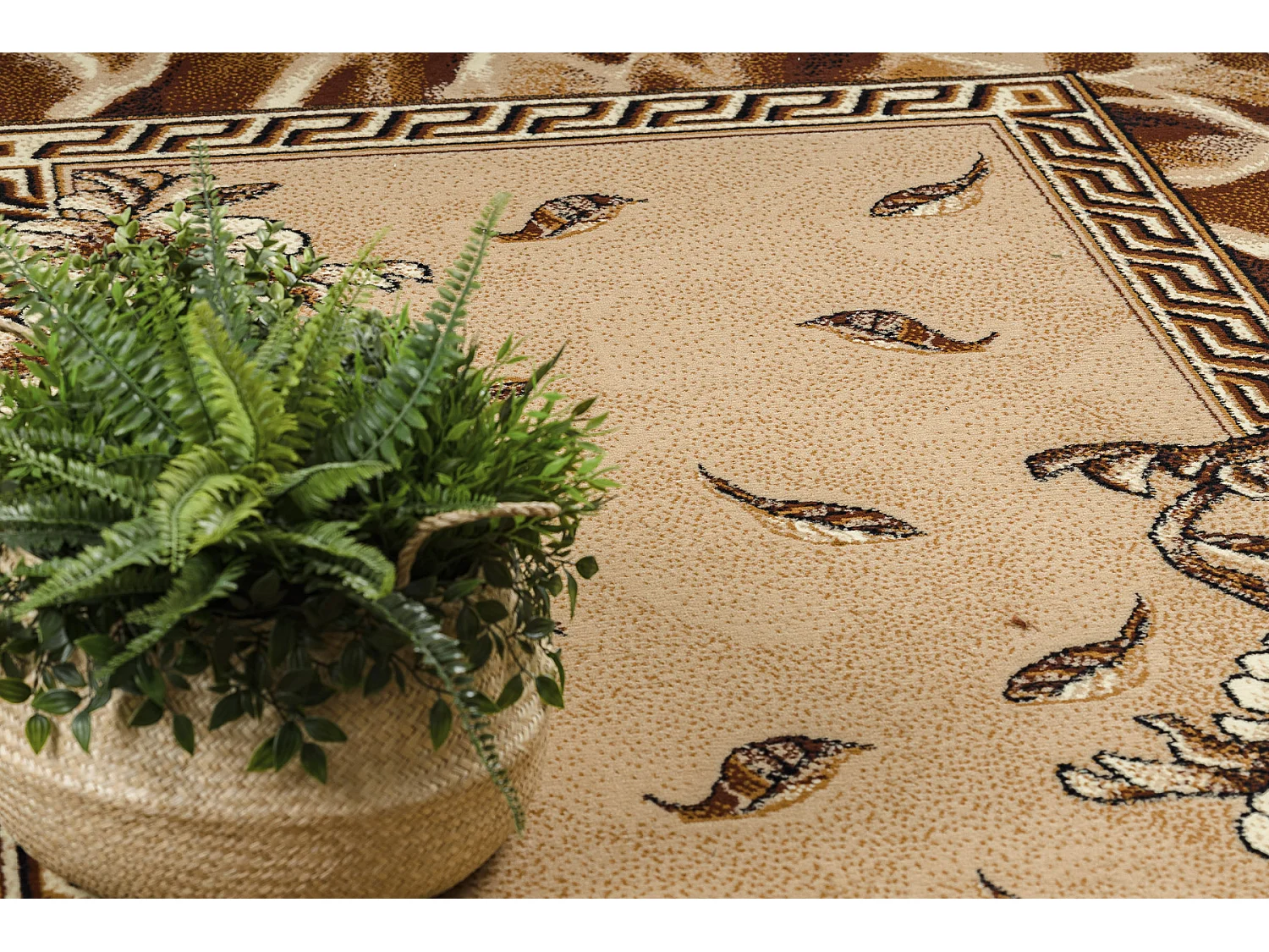 BCF Rug Morad TRIO fleurs, feuilles classique - vieil or 300x400 cm