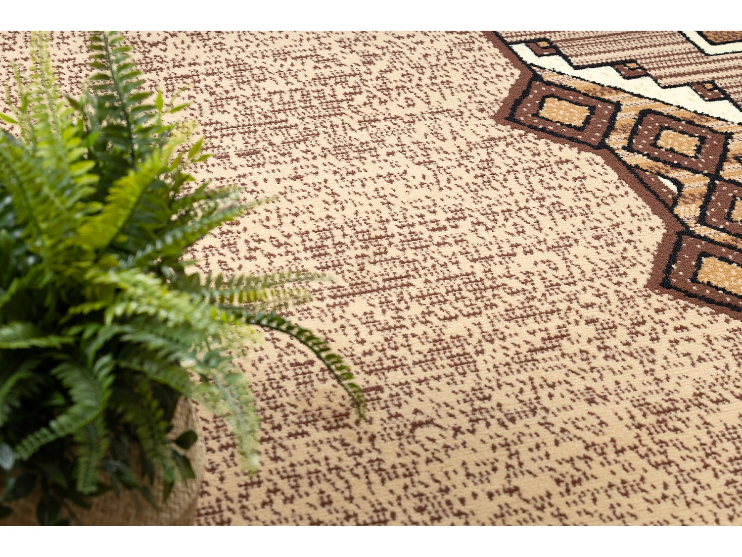 Tapijt BCF Morad BARYTON Klassiek - beige 200x300 cm