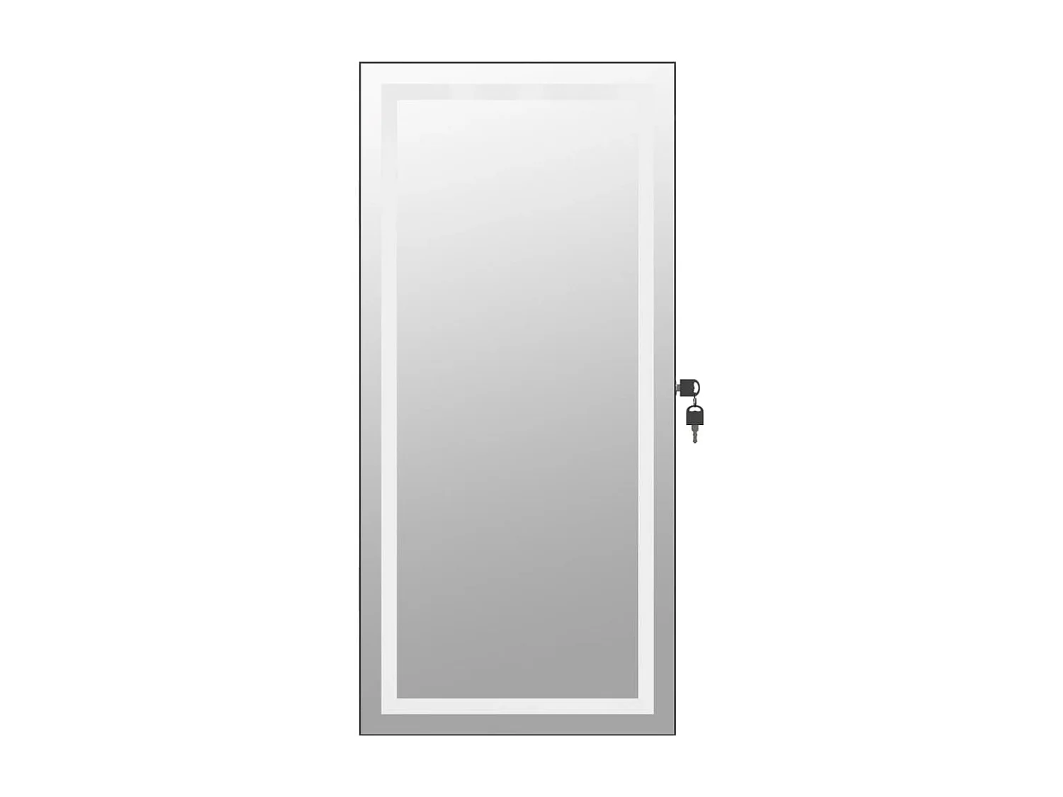 Armoire à bijoux avec miroir et éclairage LED mural noir OFR74783 BonneVie Meuble