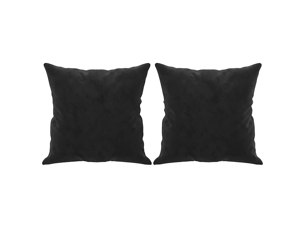 Coussins décoratifs 2 pcs Noir 40x40 cm Velours OFR96071