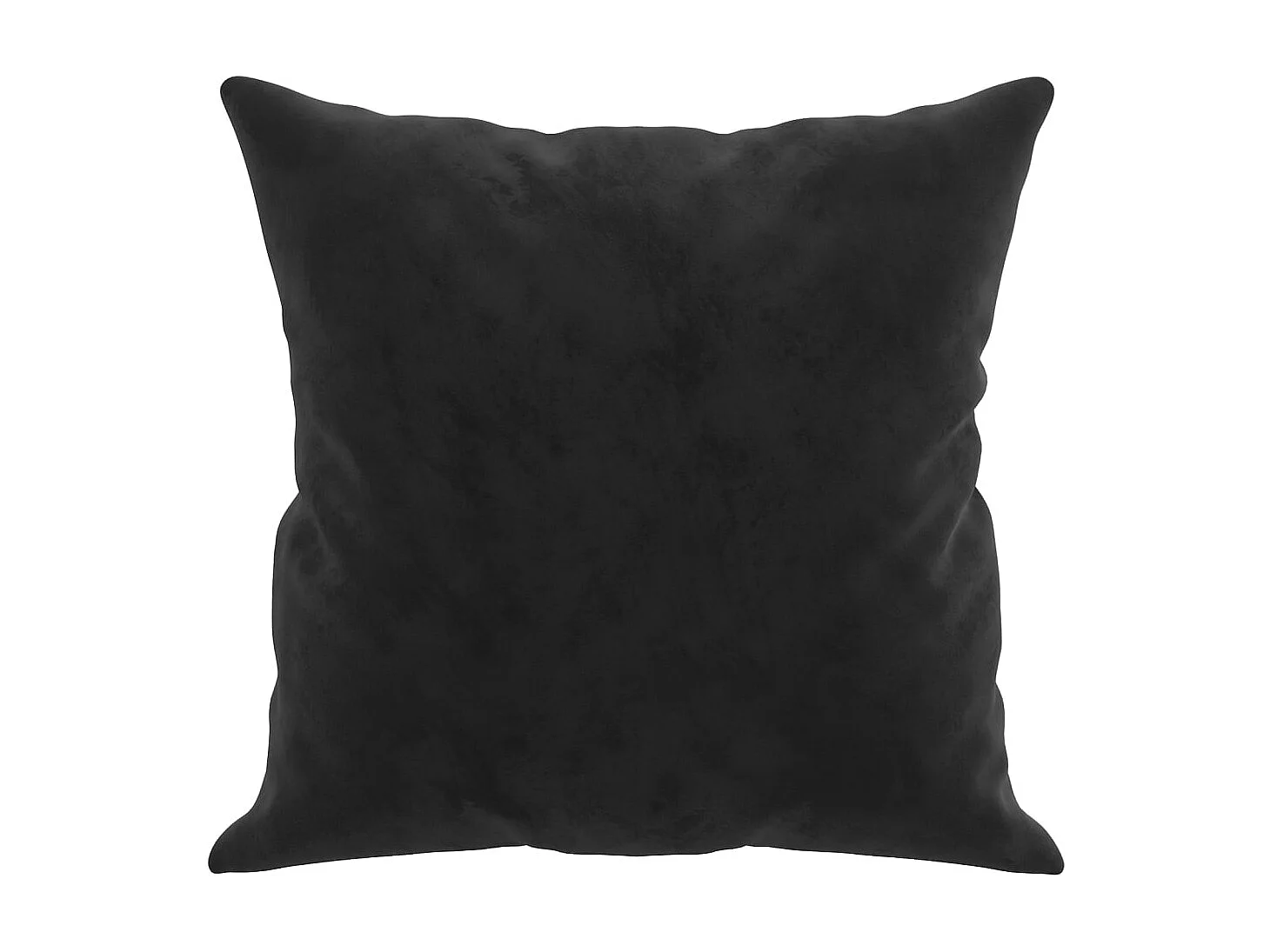 Coussins décoratifs 2 pcs Noir 40x40 cm Velours OFR96071