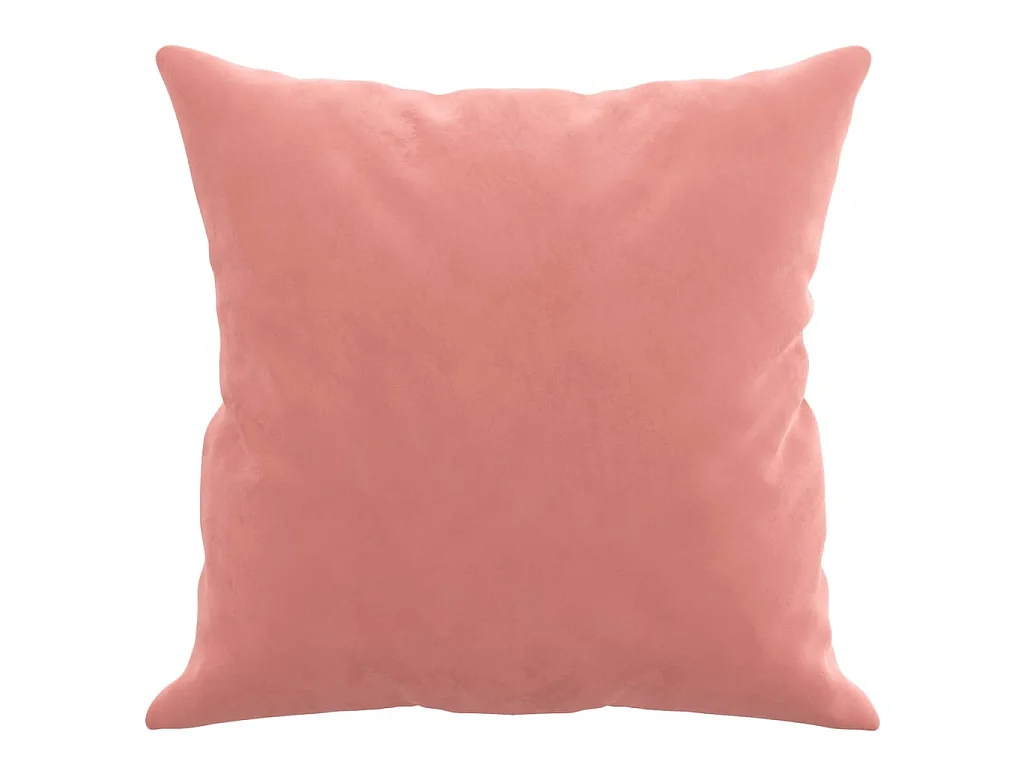 Coussins décoratifs 2 pcs Rose 40x40 cm Velours OFR38921
