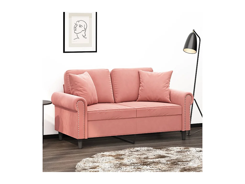 Coussins décoratifs 2 pcs Rose 40x40 cm Velours OFR38921