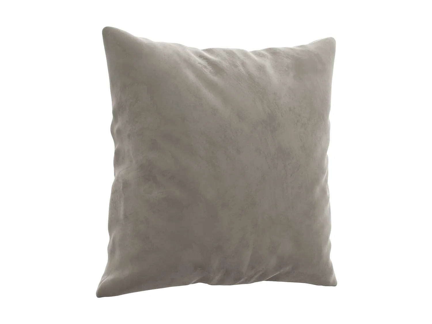 Coussins décoratifs 2 pcs Gris clair 40x40 cm Velours OFR80453