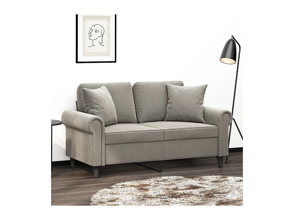 Coussins décoratifs 2 pcs Gris clair 40x40 cm Velours OFR80453
