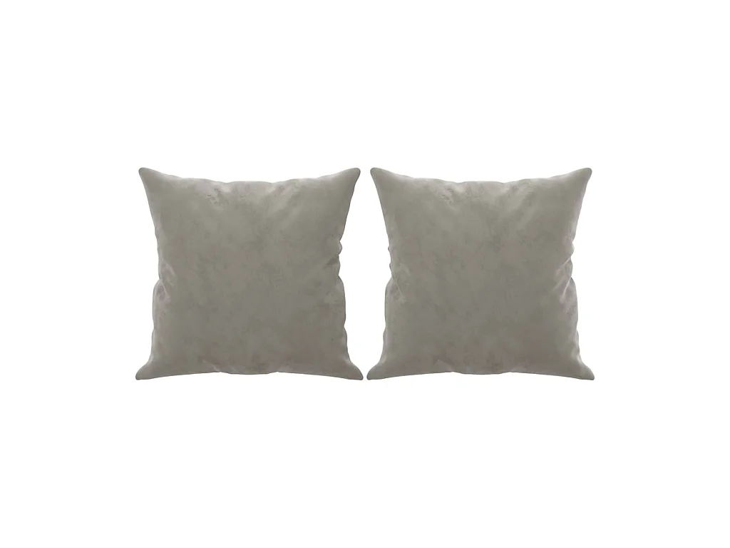Coussins décoratifs 2 pcs Gris clair 40x40 cm Velours OFR80453