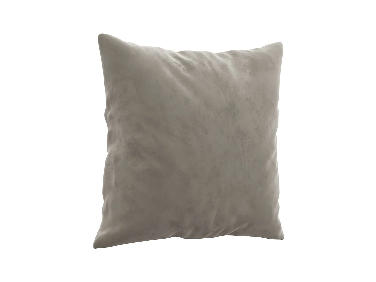 Coussins décoratifs 2 pcs Gris clair 40x40 cm Velours OFR80453