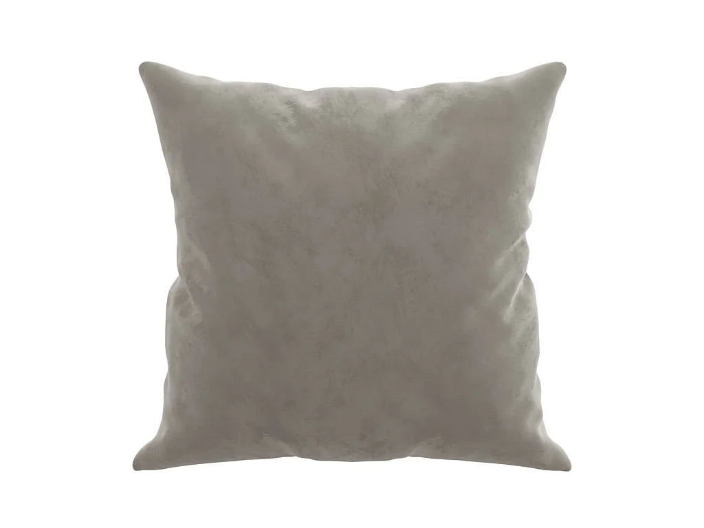 Coussins décoratifs 2 pcs Gris clair 40x40 cm Velours OFR80453