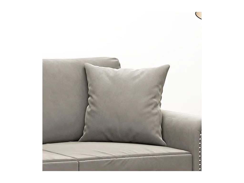 Coussins décoratifs 2 pcs Gris clair 40x40 cm Velours OFR80453