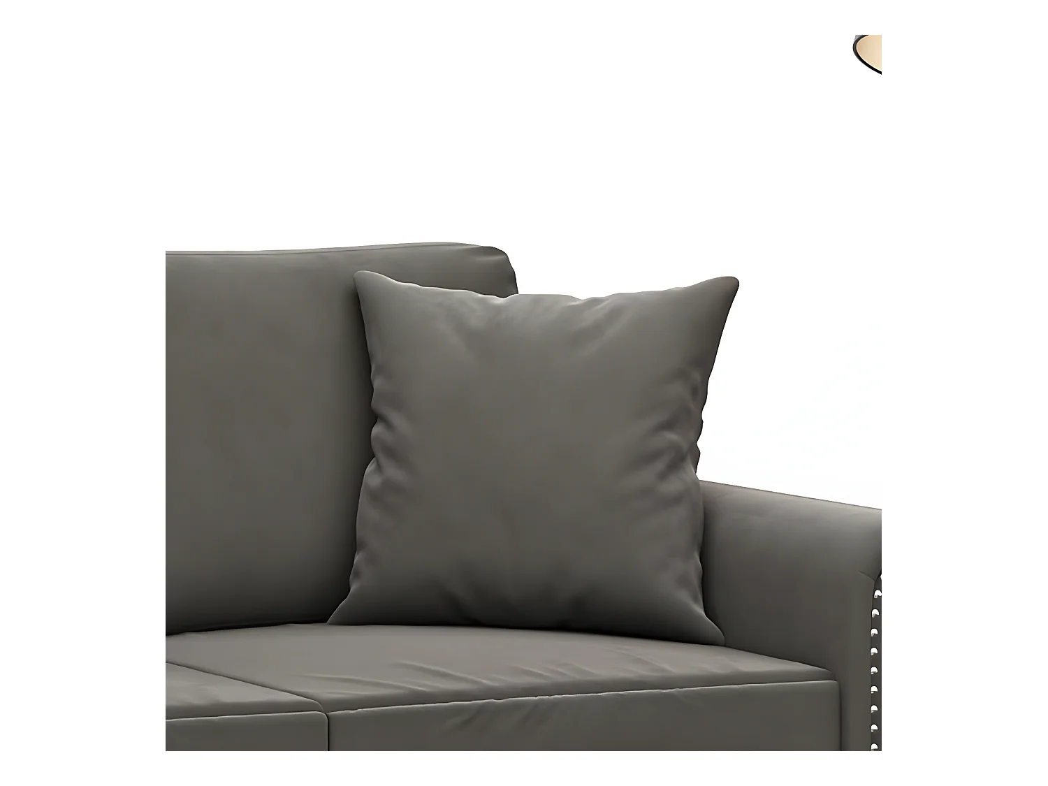 Coussins décoratifs 2 pcs Gris foncé 40x40 cm Velours OFR53563