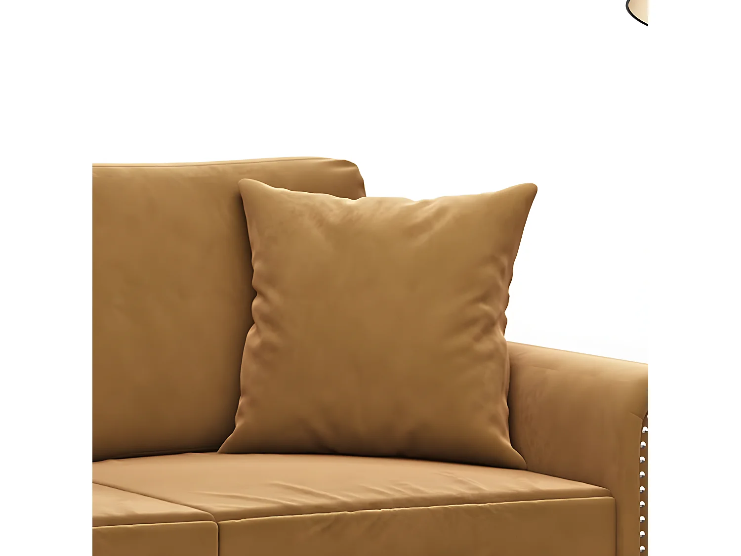 Coussins décoratifs 2 pcs Marron 40x40 cm Velours OFR97724